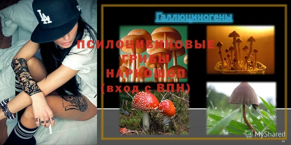 mix Армянск