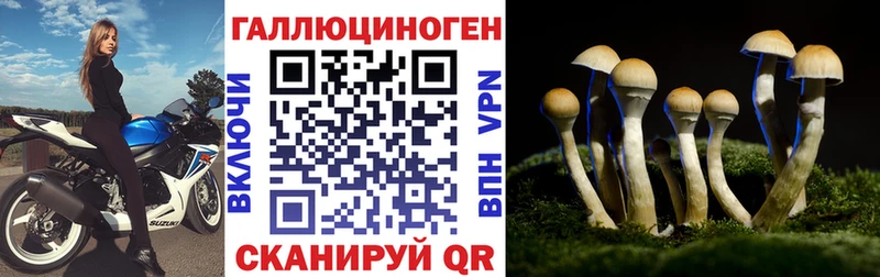 Галлюциногенные грибы GOLDEN TEACHER Малоархангельск